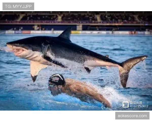 深度回顾：索普、菲尔普斯、莱德基——不同时代的“中长距离自由泳之王”